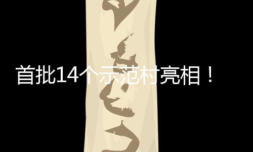 个示亮相游新村旅场景范村海解首批上锁乡